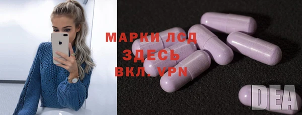PSILOCYBIN Алзамай