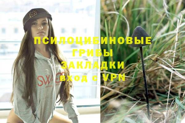 метамфетамин Алексеевка
