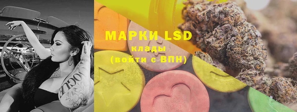 PSILOCYBIN Алзамай